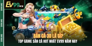 Bắn Cá 3D Là Gì? TOP Game Săn Cá Hot Nhất EV99 Năm Nay Bắn Cá 3D Là Gì? TOP Game Săn Cá Hot Nhất EV99 Năm Nay