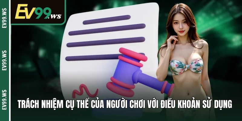 ĐIỀU KHOẢN SỬ DỤNG Trách nhiệm cụ thể của người chơi với điều khoản sử dụng