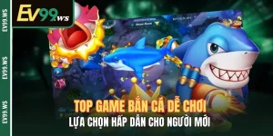 Top Game Bắn Cá Dễ Chơi – Lựa Chọn Hấp Dẫn Cho Người Mới Top Game Bắn Cá Dễ Chơi – Lựa Chọn Hấp Dẫn Cho Người Mới
